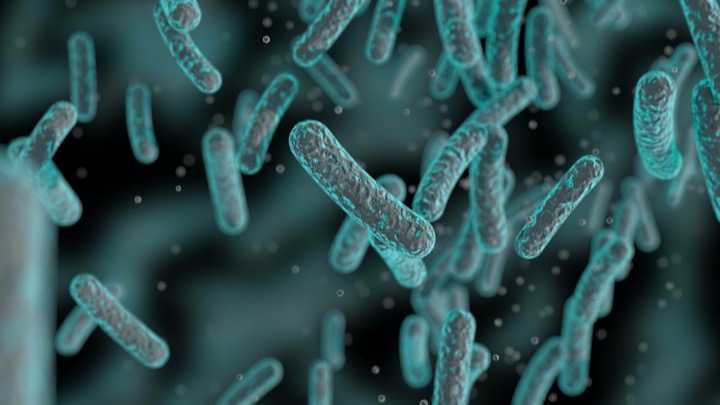 1582722728447861.jpeg WechatIMG2431.jpeg